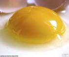 Yumurta sarısı
